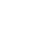 ali sons group logo 2